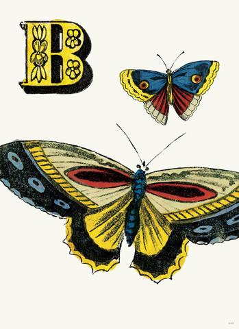 Chapbook Alphabet Prints- B Butterfly