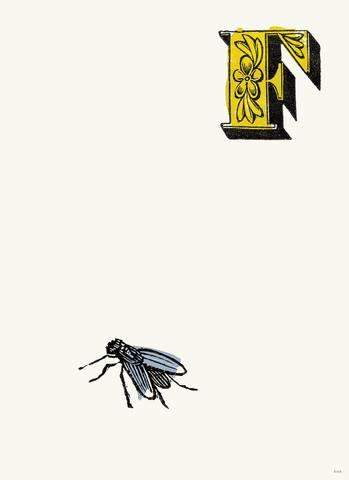 Chapbook Alphabet Prints- F Fly