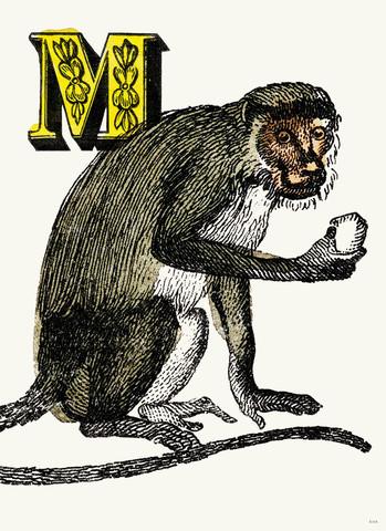 Chapbook Alphabet Prints- M Monkey