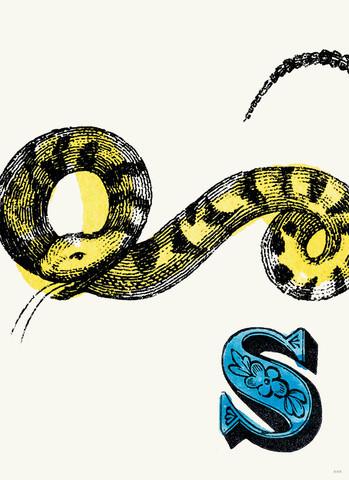 Chapbook Alphabet Prints-  S Snake
