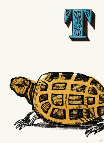 Chapbook Alphabet Prints-  T Turtle
