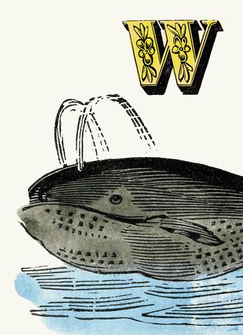 Chapbook Alphabet Prints- W Whale